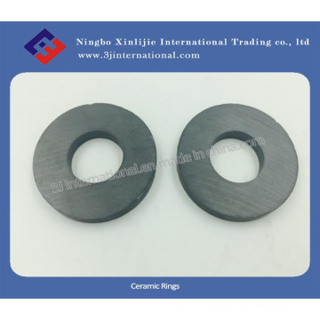 Ferrite Magnets/Ceramic Rings (XLJ-1110)